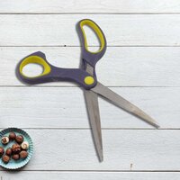 Stainless Steel Kitchen Scissors
