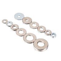 Ring Sintered Ndfeb Magnet - Customized Size Ndfeb Magnet Grade N35n55, Silver/gold/black, Axial/diametrical Magnetization For Sensors & Motors