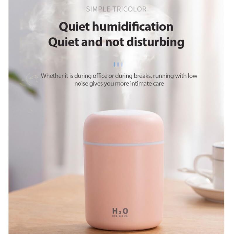 H2O HUMIDIFIRE