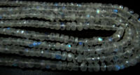 Natural white Rainbow Moonstone Rondelle Faceted 4to7mm Beads Strand 8''