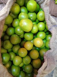 Fresh Lemon