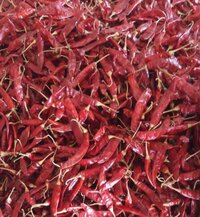 Dried Red Chilli