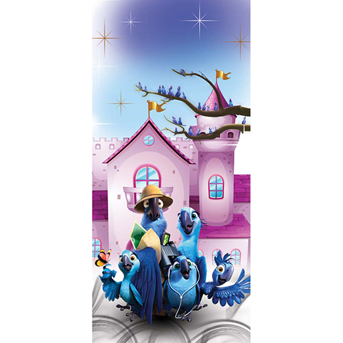 C-6 Laminated Cartoon Printed Door Paper