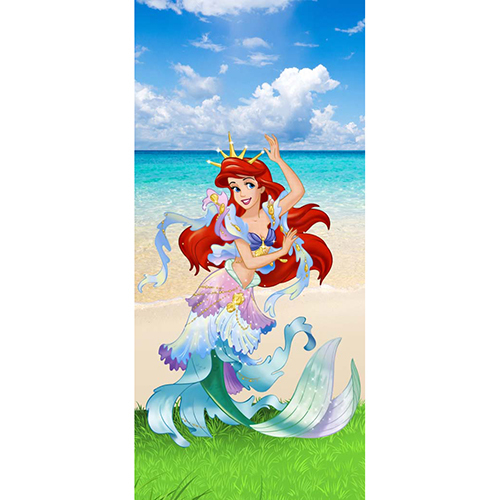 C-12 Modern Cartoon Printed Door Paper