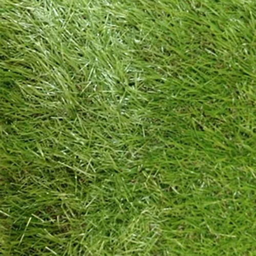 Synthetic Artificial Green Grass - Feature: Durable