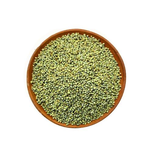 Pearl Millet