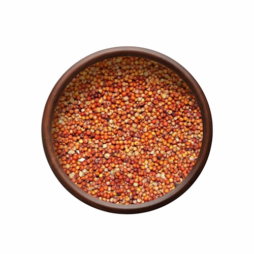 Finger Millet