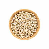 White Sorghum - Feature: Normal