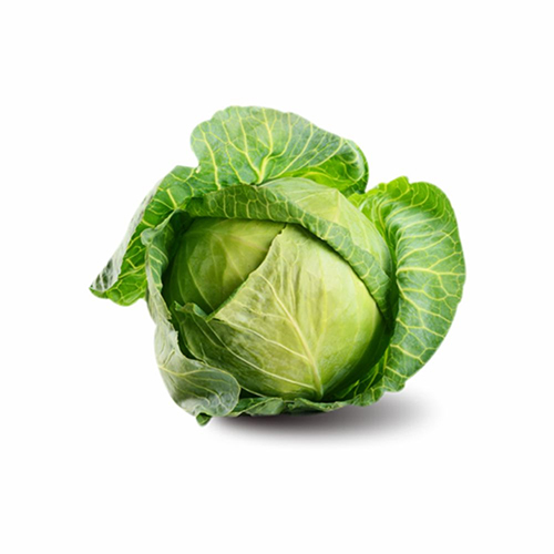 Green Cabbage