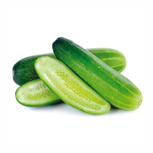 Fresh Cucumber