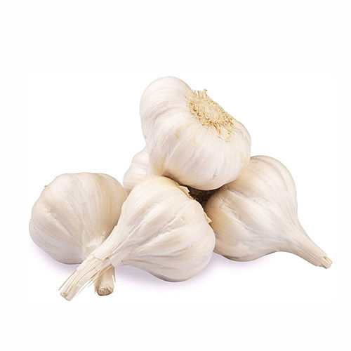 White Garlic - Moisture (%): Nil