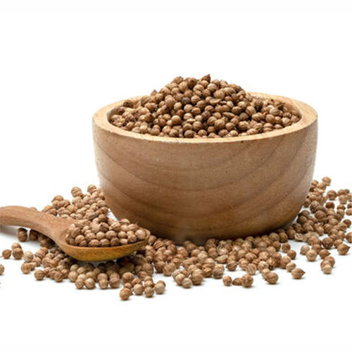 Coriander Seeds - Product Type: Fresh