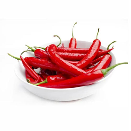 Red Chilli - Product Type: Fresh