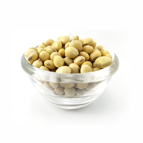 Soya Beans Pulses