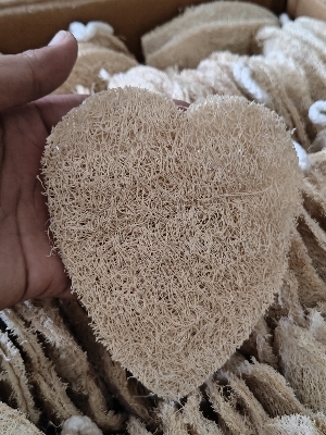 Organic Vetiver Root - Customized Plastic Box Packaging | Organic Calming Medicinal Benefits Suitable for All Ages