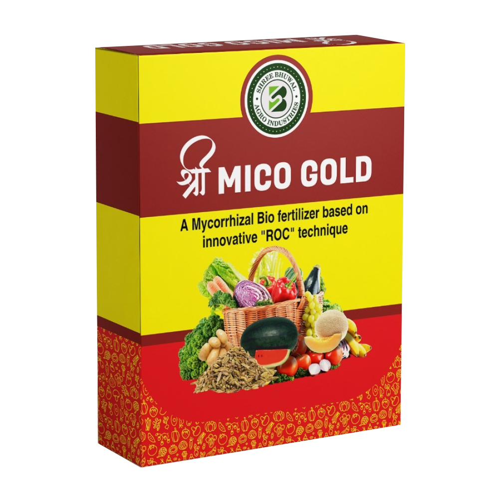 Bio Fertilizer