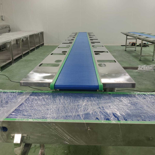 Fully Washable Modular Belt Conveyor Machine