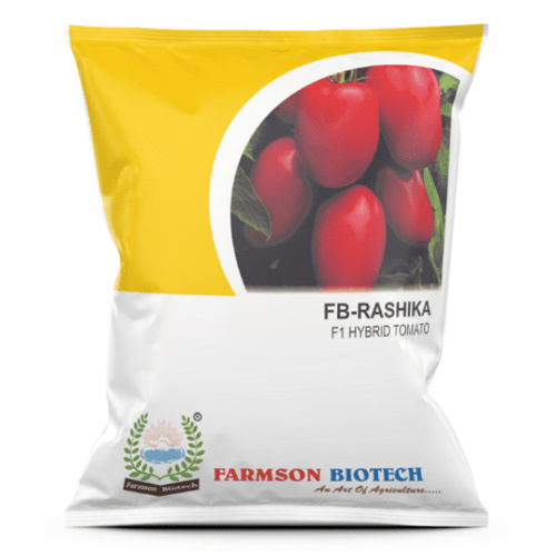 Tomato Seeds - Rashika F1Hybrid - Purity: 99 %