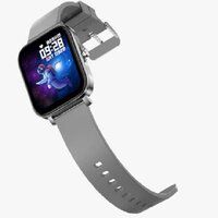 Fire-Boltt Epic Plus Smart Watch (Grey)