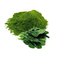 Palak Powder - Grade A Dried Spinach, Rich Green Color & Flavor, High Protein, Low Calorie, Nutrient Dense