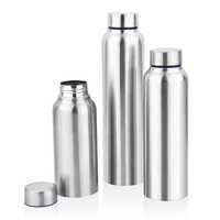 Stainless steel bullet bottle