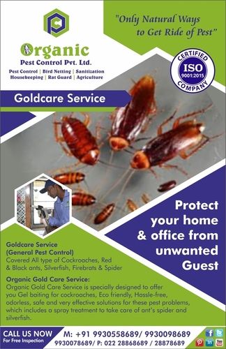 Household Pest Control Service - Comprehensive Approach | Eco-Friendly Solutions, Customized Treatment Plans, Safe for Pets and Children