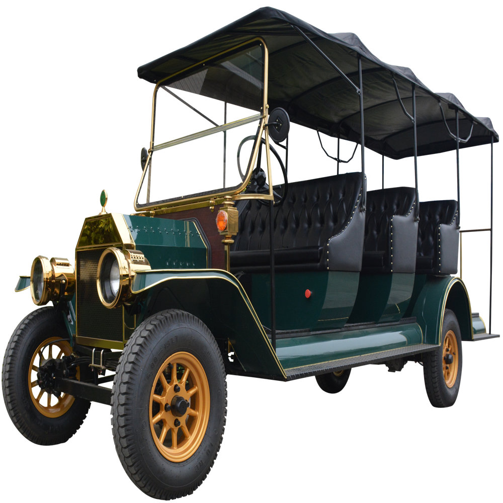 Ford VX 8 Seater Vintage Buggy