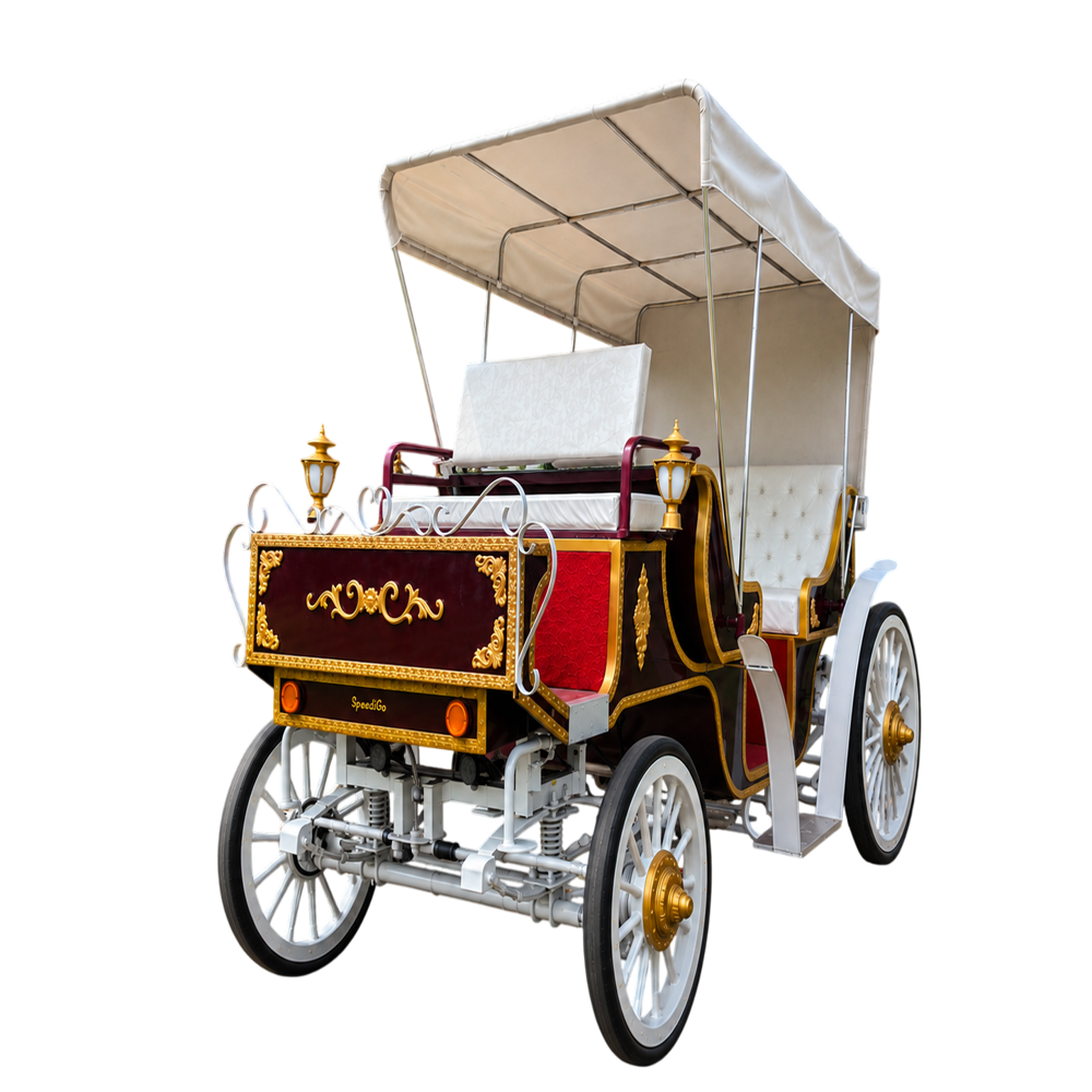 Ford Vx 6 Seater Vintage Buggy - Color: Different Available
