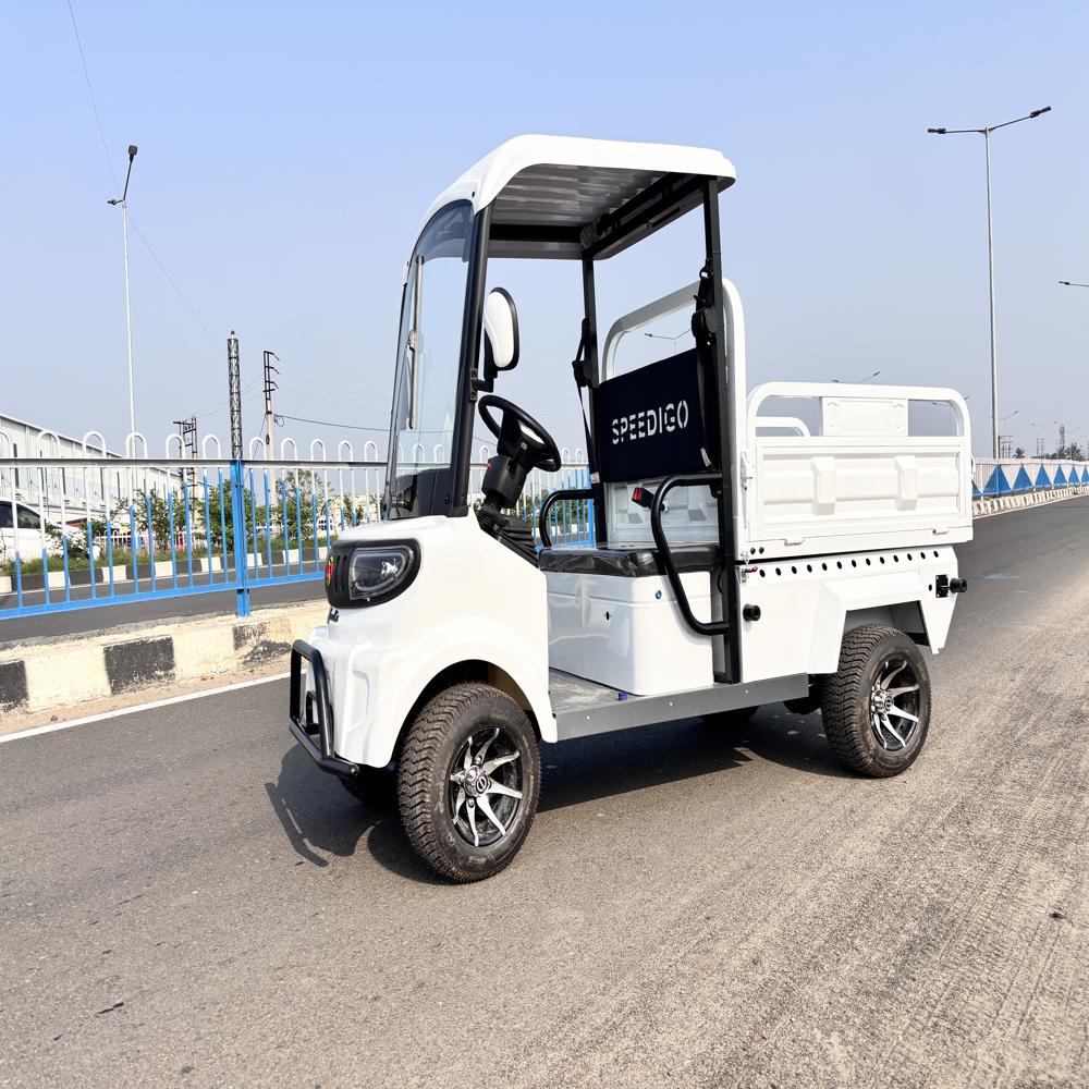 Cargo Truck - Color: Different Available