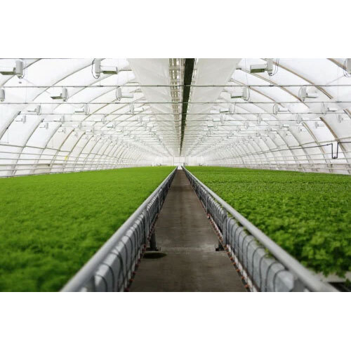 HDPE Tarpaulin for Grapes Farming Purpose