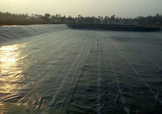 Agricultural Pond Liners - PVC Double Side Coated Fabric, 450-1000 Gsm Thickness, Blue Color, Water Storage and Covering Usage