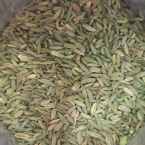 Fennel Seeds (Europe Quality)