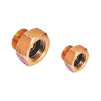 Lpg Non Return Valve - Brass, Standard Size | Hot Rolled Design For Gas Cylinder Applications