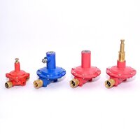 Lpg Pre-set Gas Regulator - Flow Rate: As Per Requirement