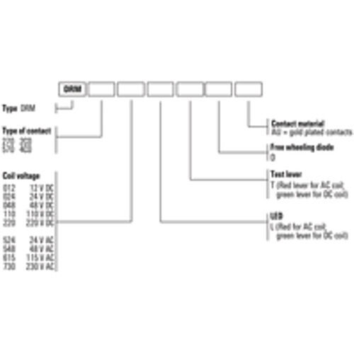 DRM270012LT Relay