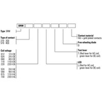 DRM270012LT Relay