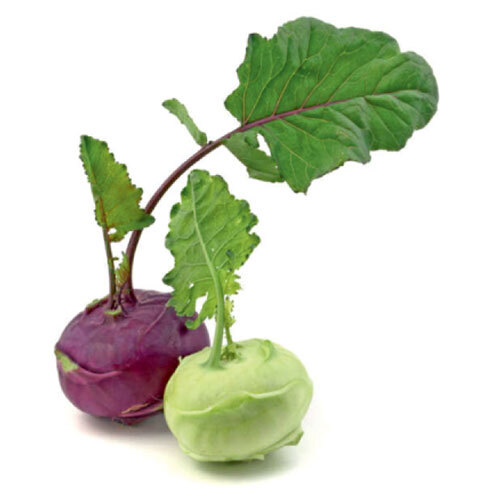 Nukol Seeds