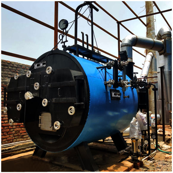 Wood Fired Steam Boiler