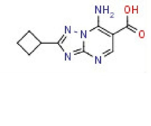 7-Amino-2-cyclobutyl[1,2,4]triazolo[1,5-a]pyrimidine-6-carboxylic acid