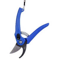 Pruning Shear