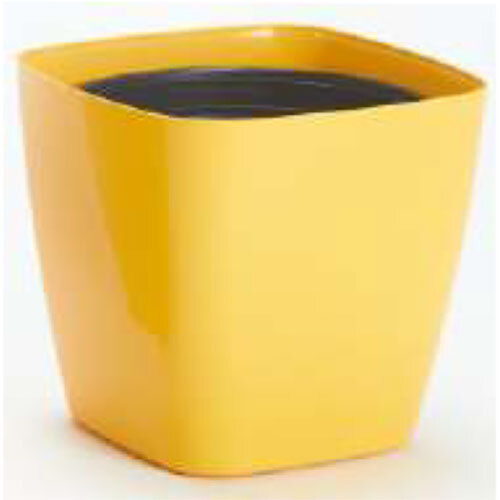 Olive Pots With Inner Pots (A) - Color: Yellow