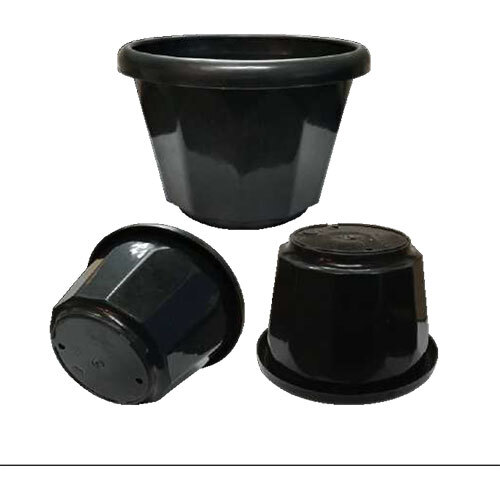 Rainbow 1 Black Pot (A)