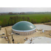 Biogas Power Generation Plant - Feature: Eco Friendly