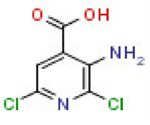 3-Amino-2,6-dichloropyridine-4-carboxylic acid