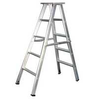 Aluminum Auto Folding Ladder