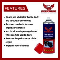 Throttal Body Cleaner