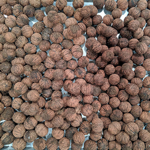 Black Walnuts - Cultivation Type: Organic