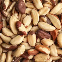 Brazil Nuts - Color: Brown