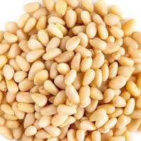 Pine Nuts