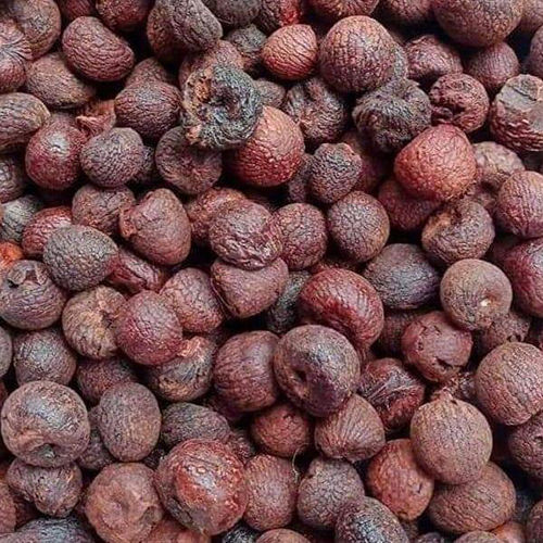 Dry Areca Nuts - Color: Brown